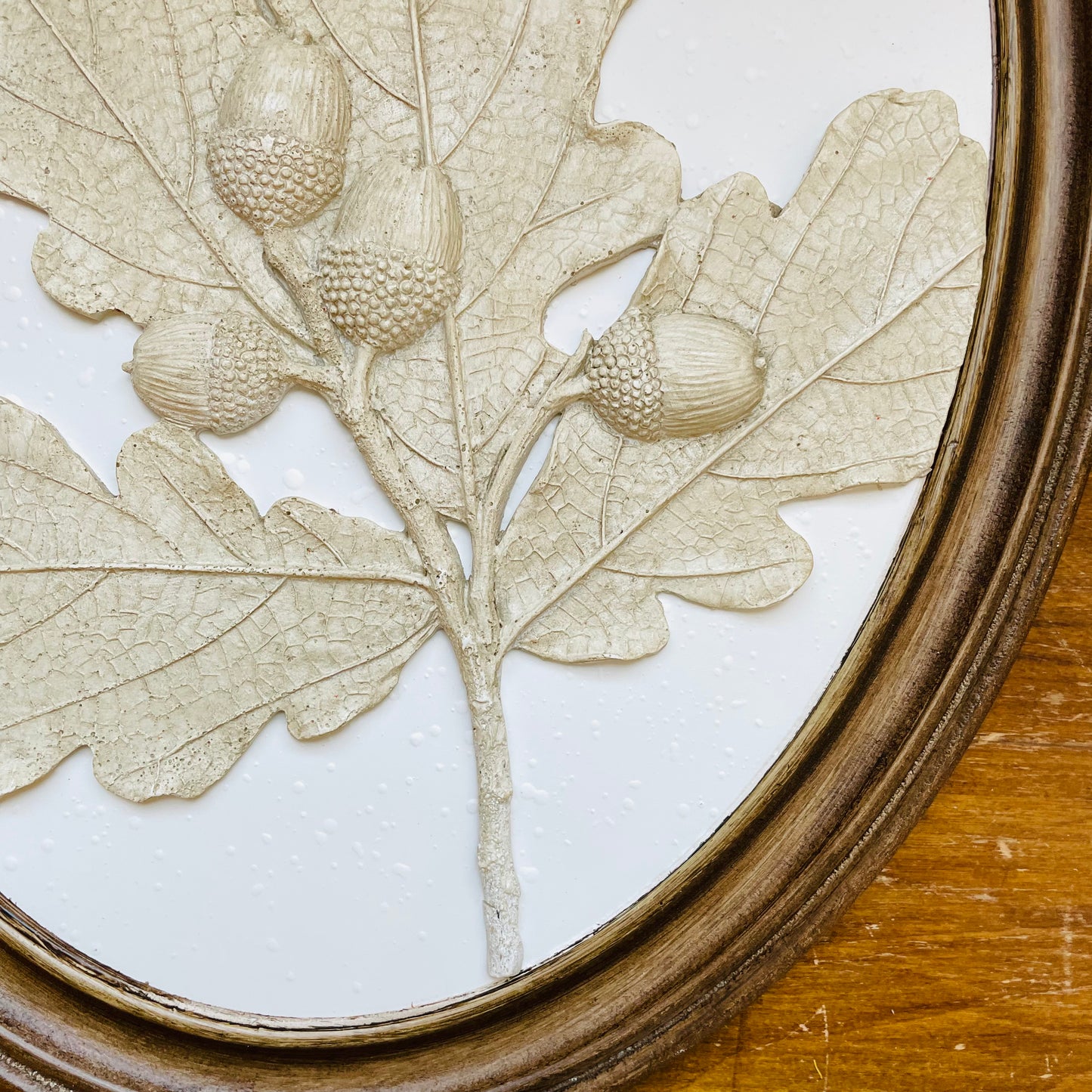 Oval Wood Framed Plaster Cast Tree Leaves & Fruit