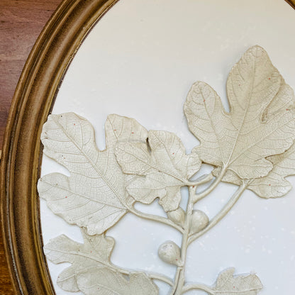 Oval Wood Framed Plaster Cast Tree Leaves & Fruit