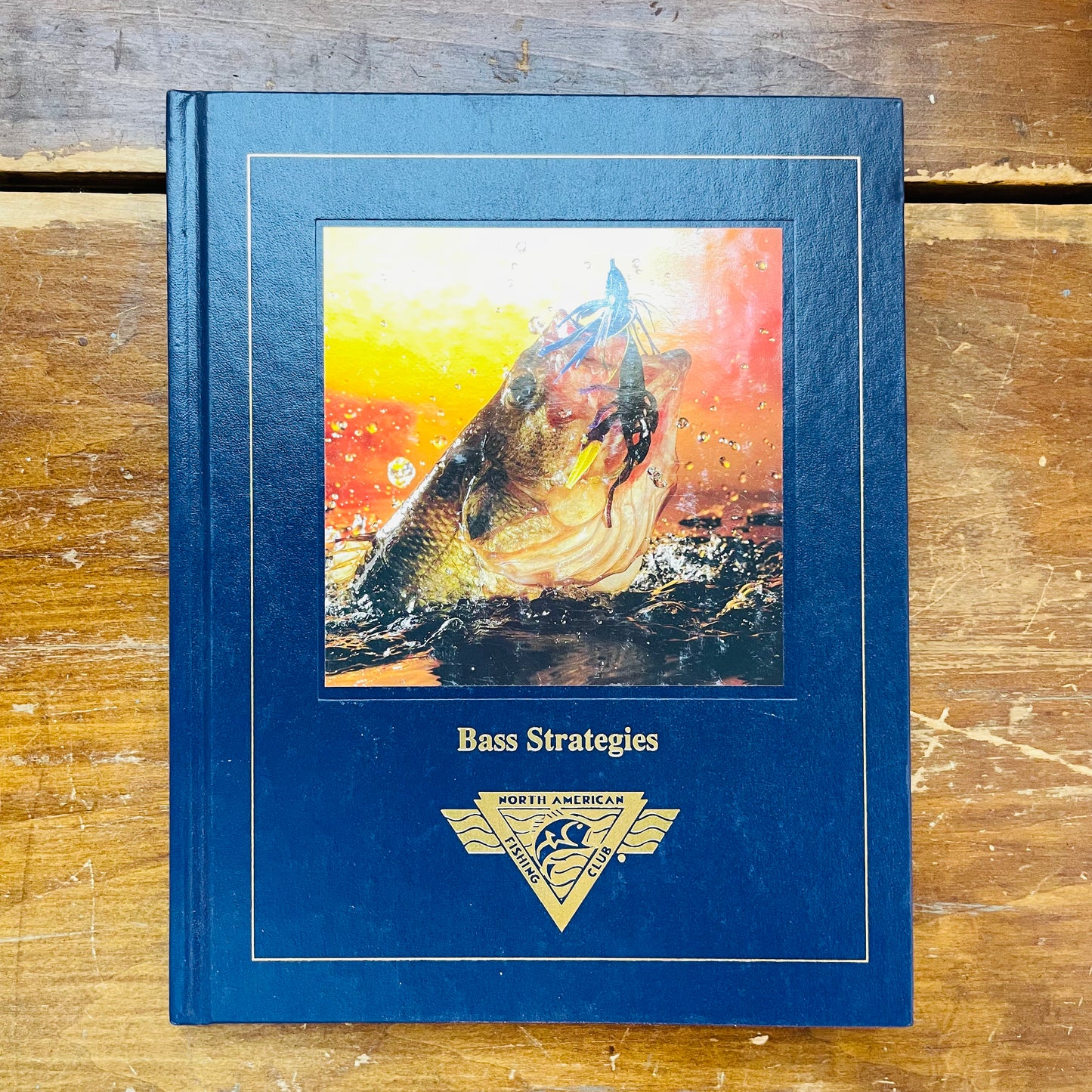 Bass Strategies Book- Vintage