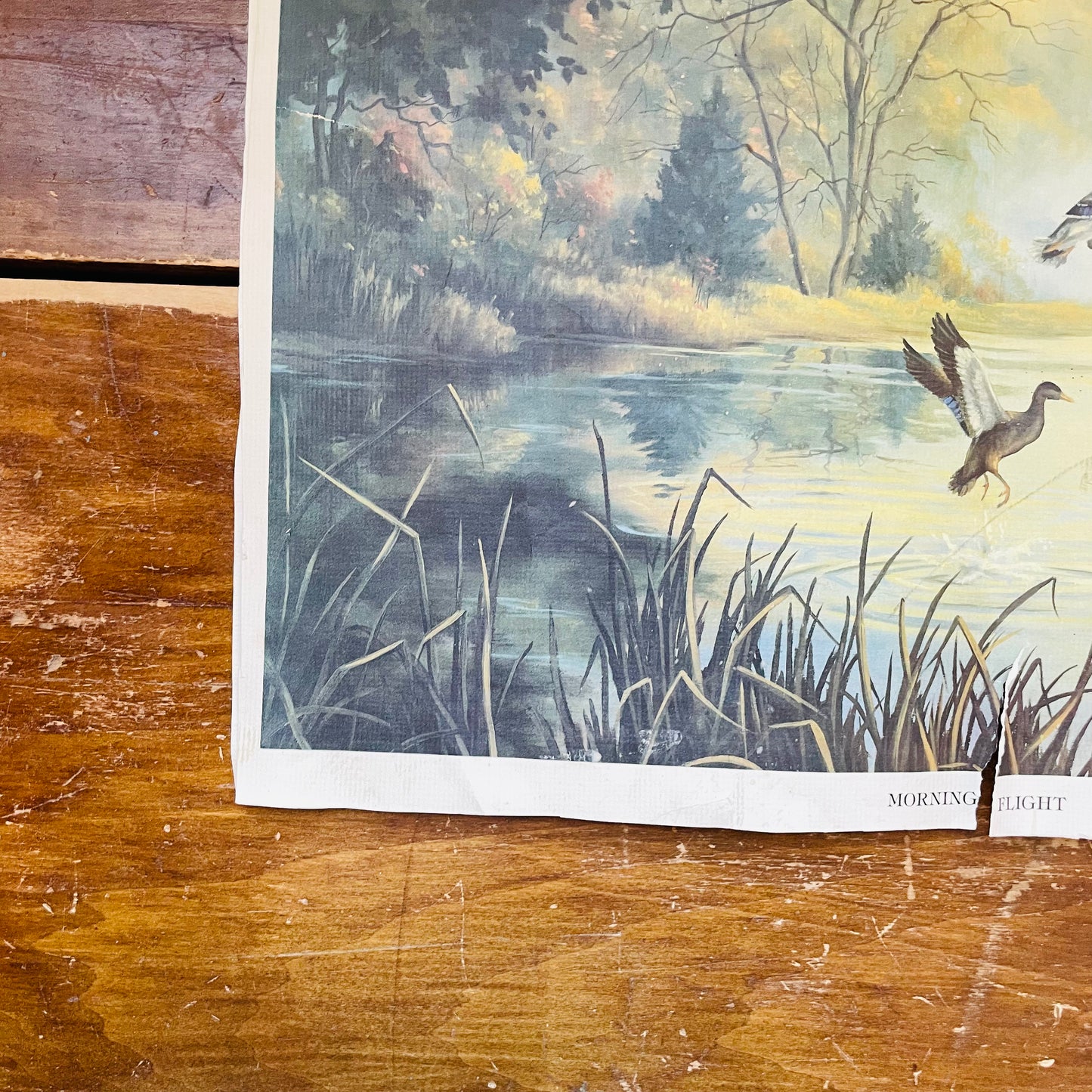Morning Flight Print- Vintage