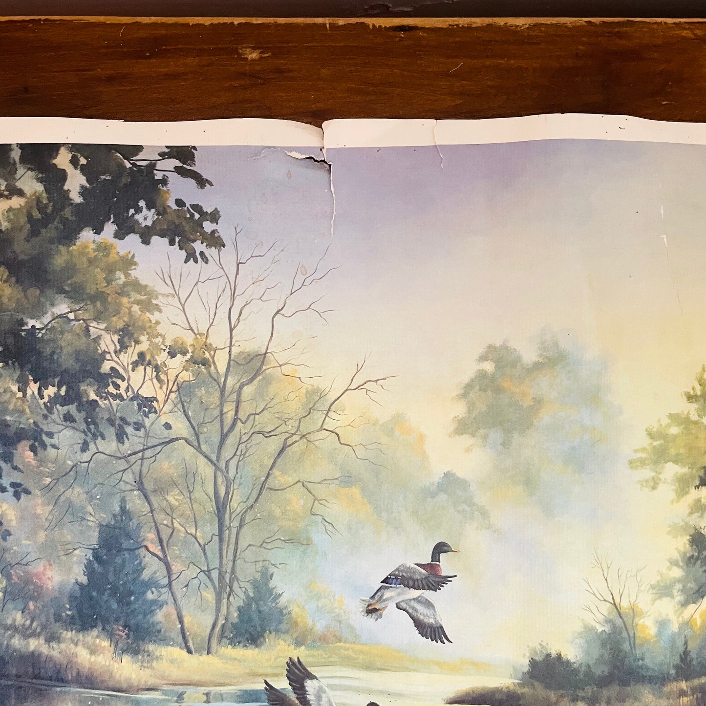 Morning Flight Print- Vintage