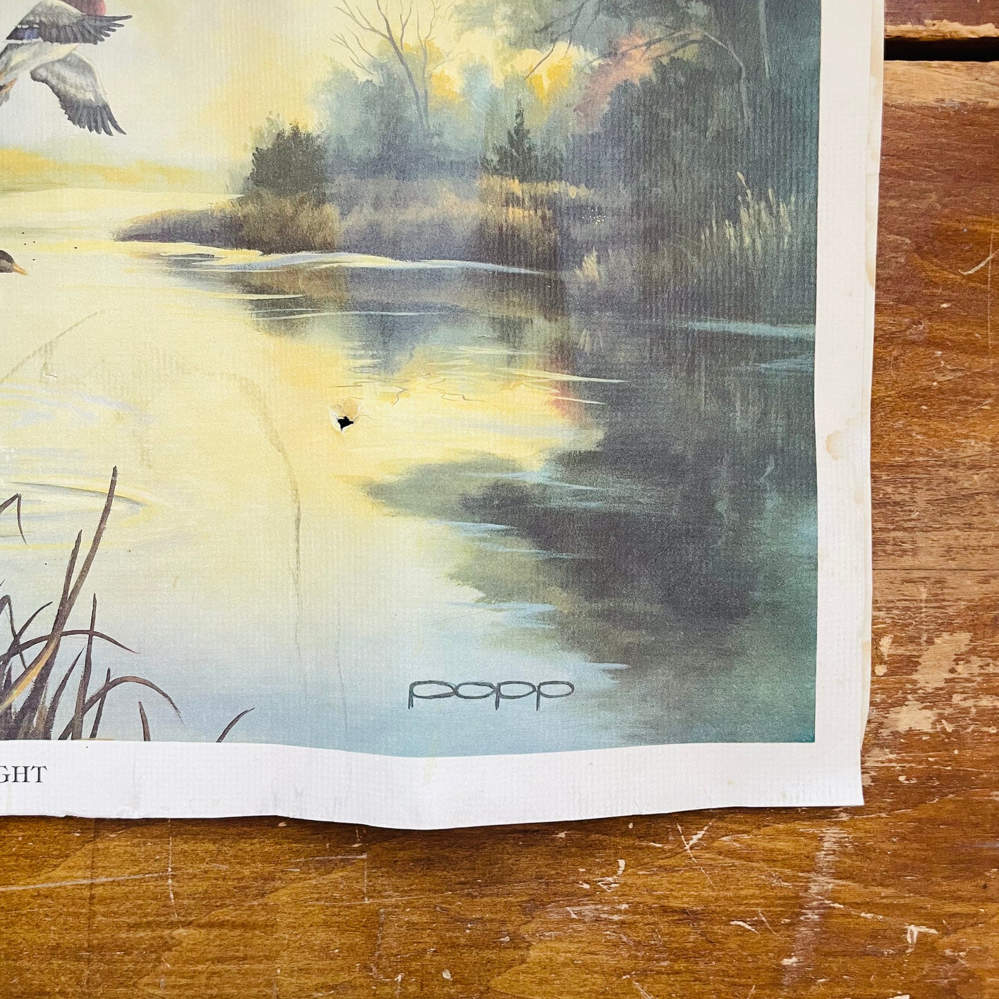 Morning Flight Print- Vintage
