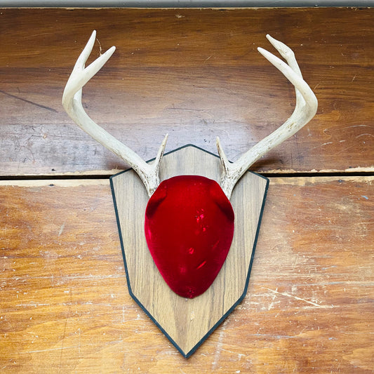 The Quincy Whitetail Deer Plaque Mount- Vintage