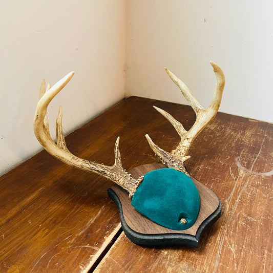 The Alma Whitetail Deer Plaque Mount- Vintage