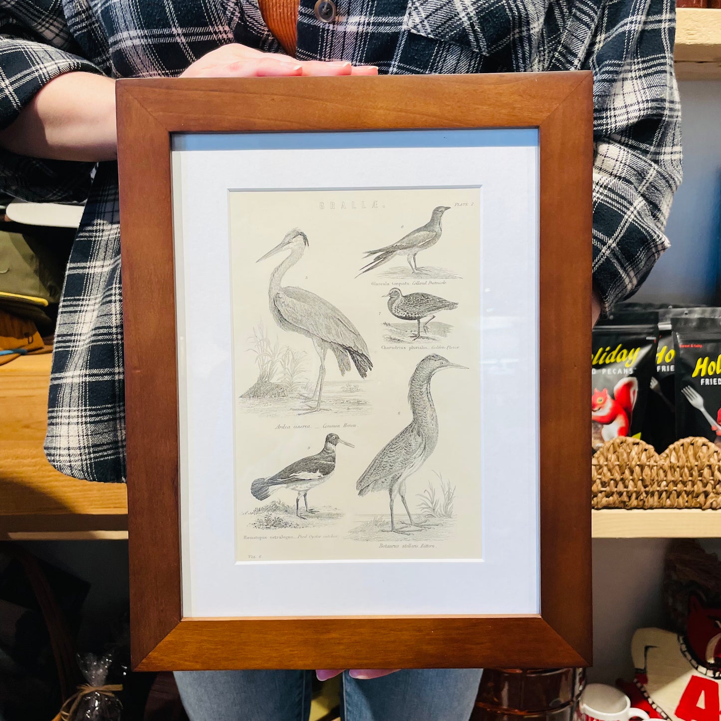 1800's Chrome Lithograph Crane & Birds Framed Print- Vintage