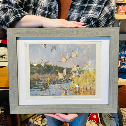 "Frightened Ducks"  Framed Print- Vintage