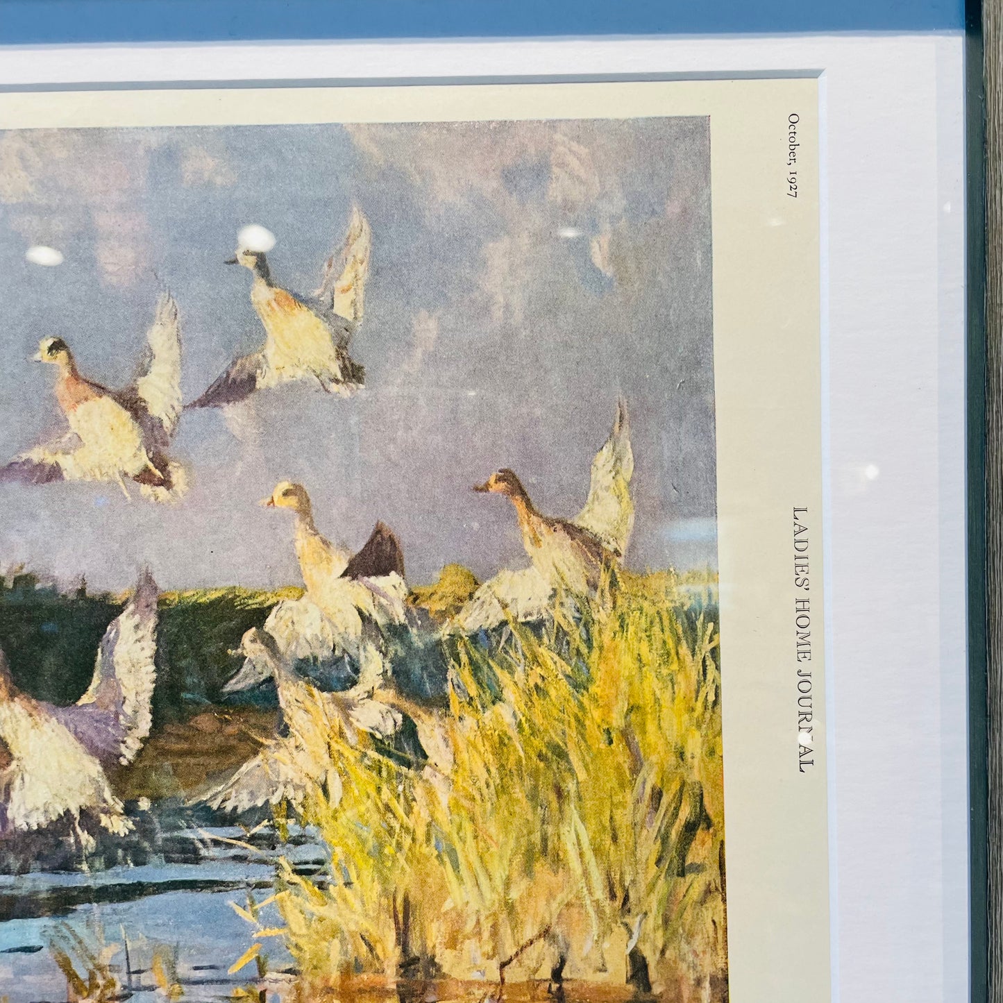 "Frightened Ducks"  Framed Print- Vintage