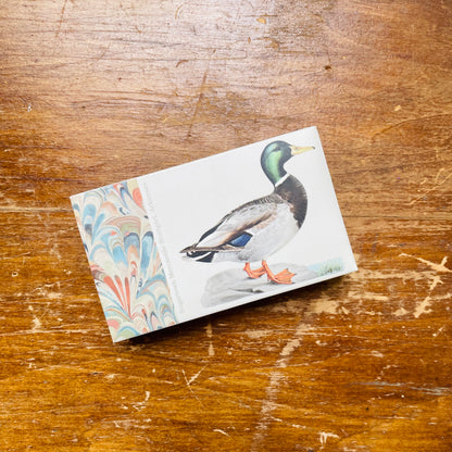 Mallard Duck Matches