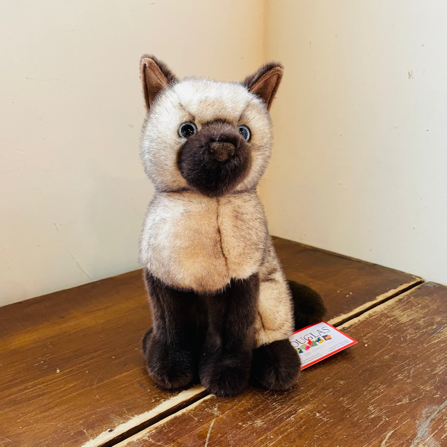 Scratches the Siamese Cat