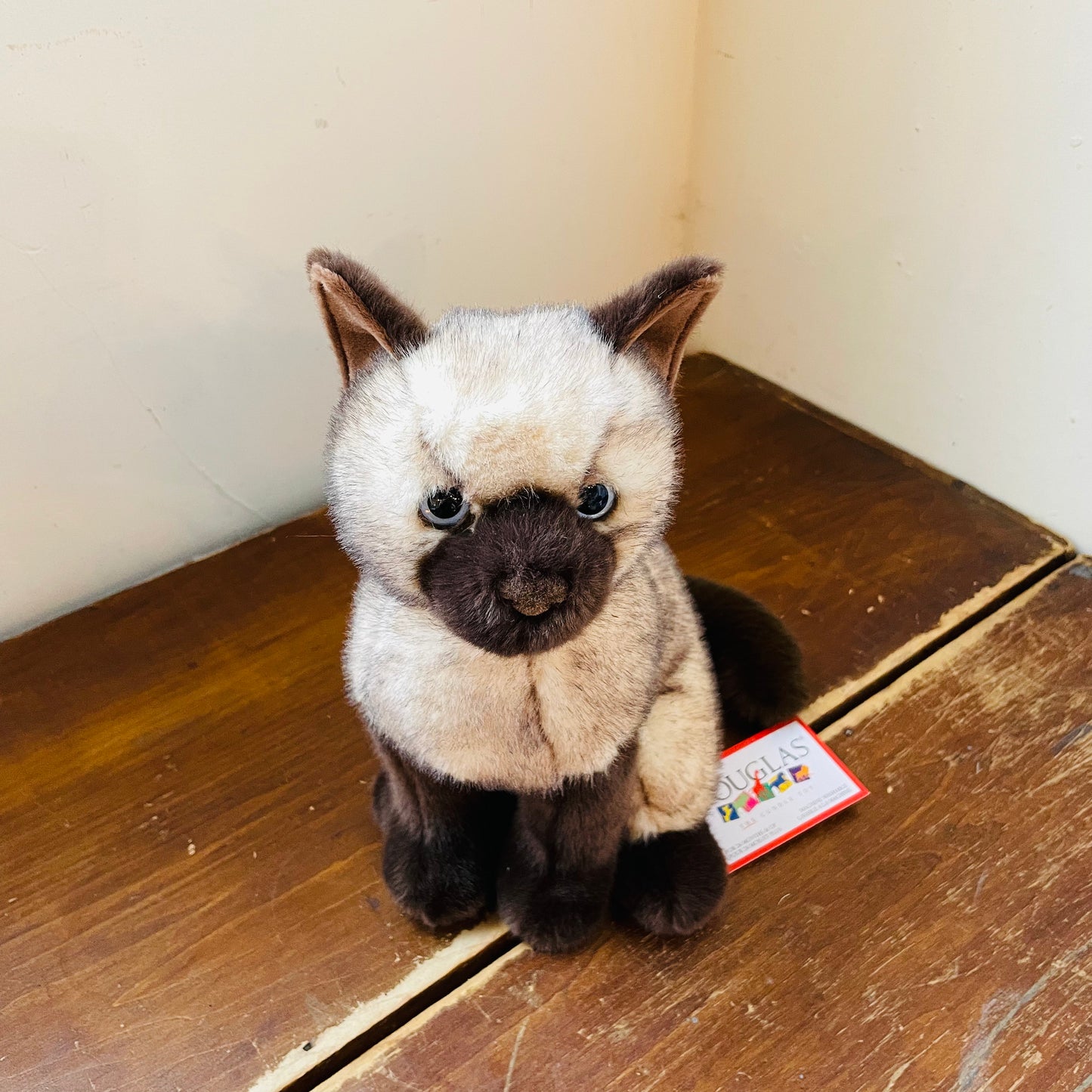 Scratches the Siamese Cat