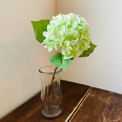 Green Bridal Hydrangea Stem