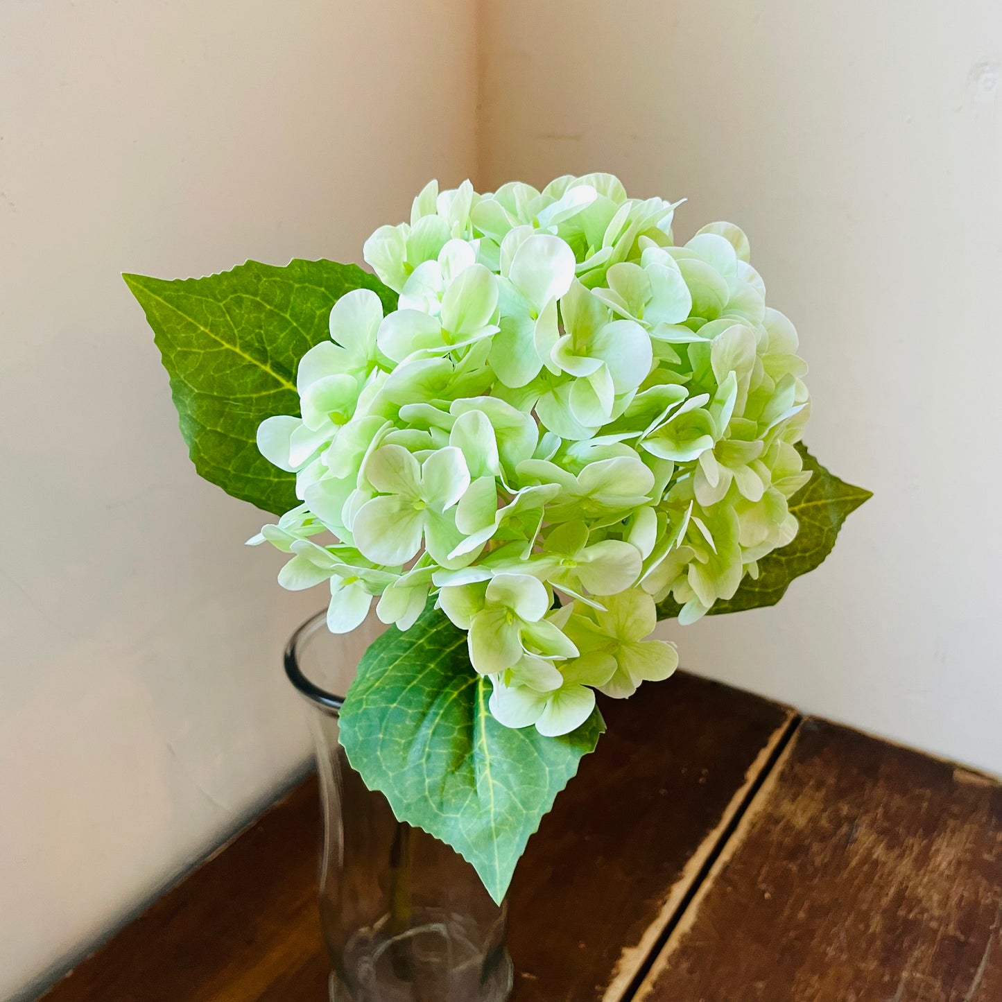 Green Bridal Hydrangea Stem