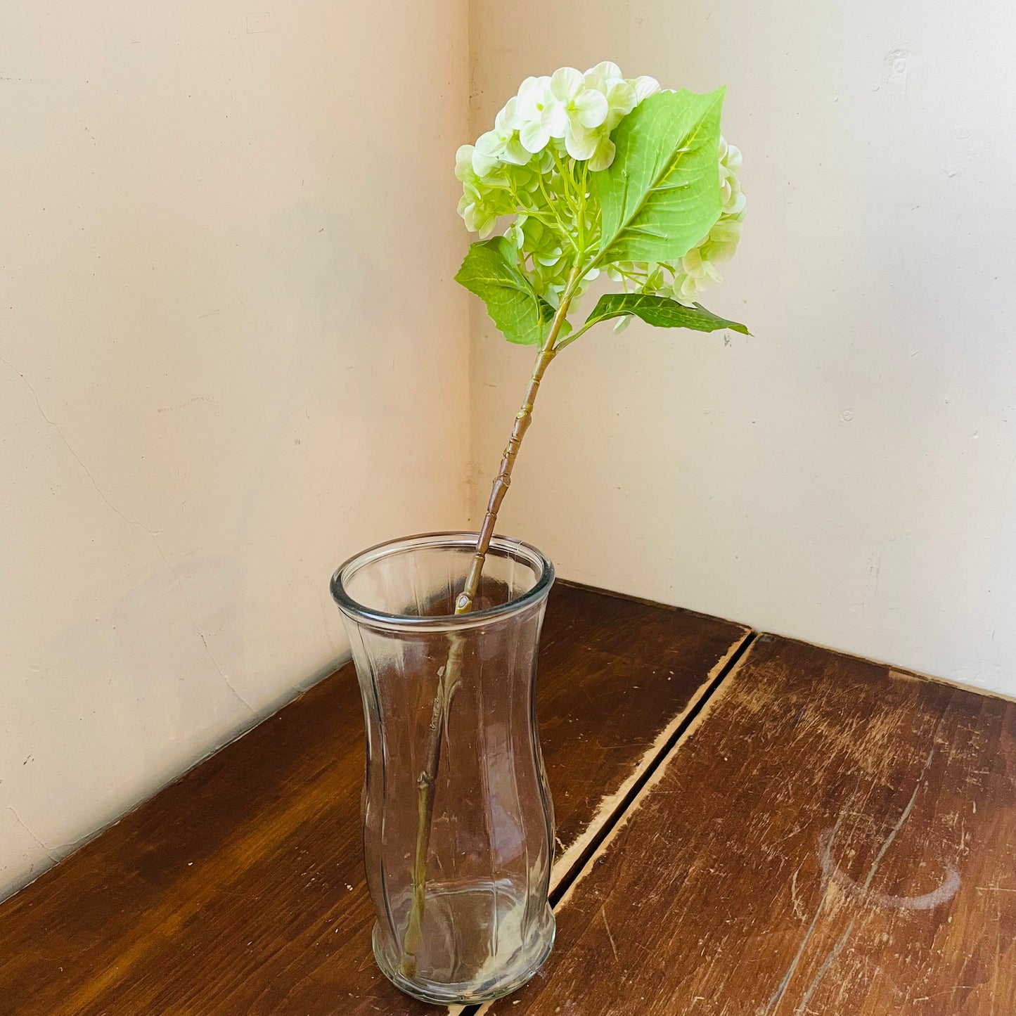 Green Bridal Hydrangea Stem