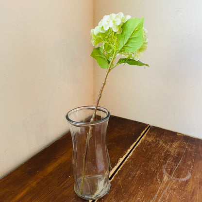 Green Bridal Hydrangea Stem