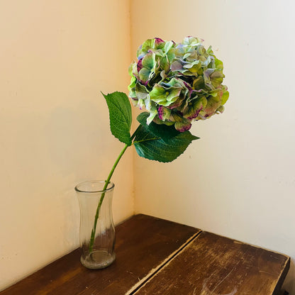 Equinox Mason Hydrangea Stem