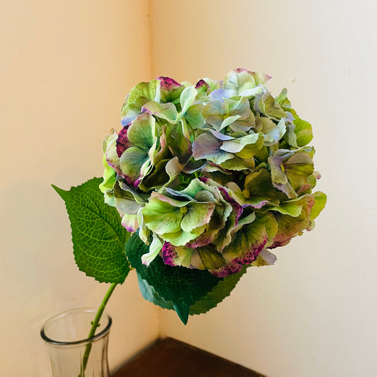 Equinox Mason Hydrangea Stem