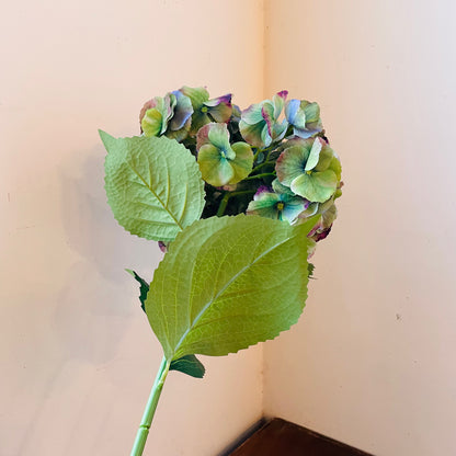 Equinox Mason Hydrangea Stem