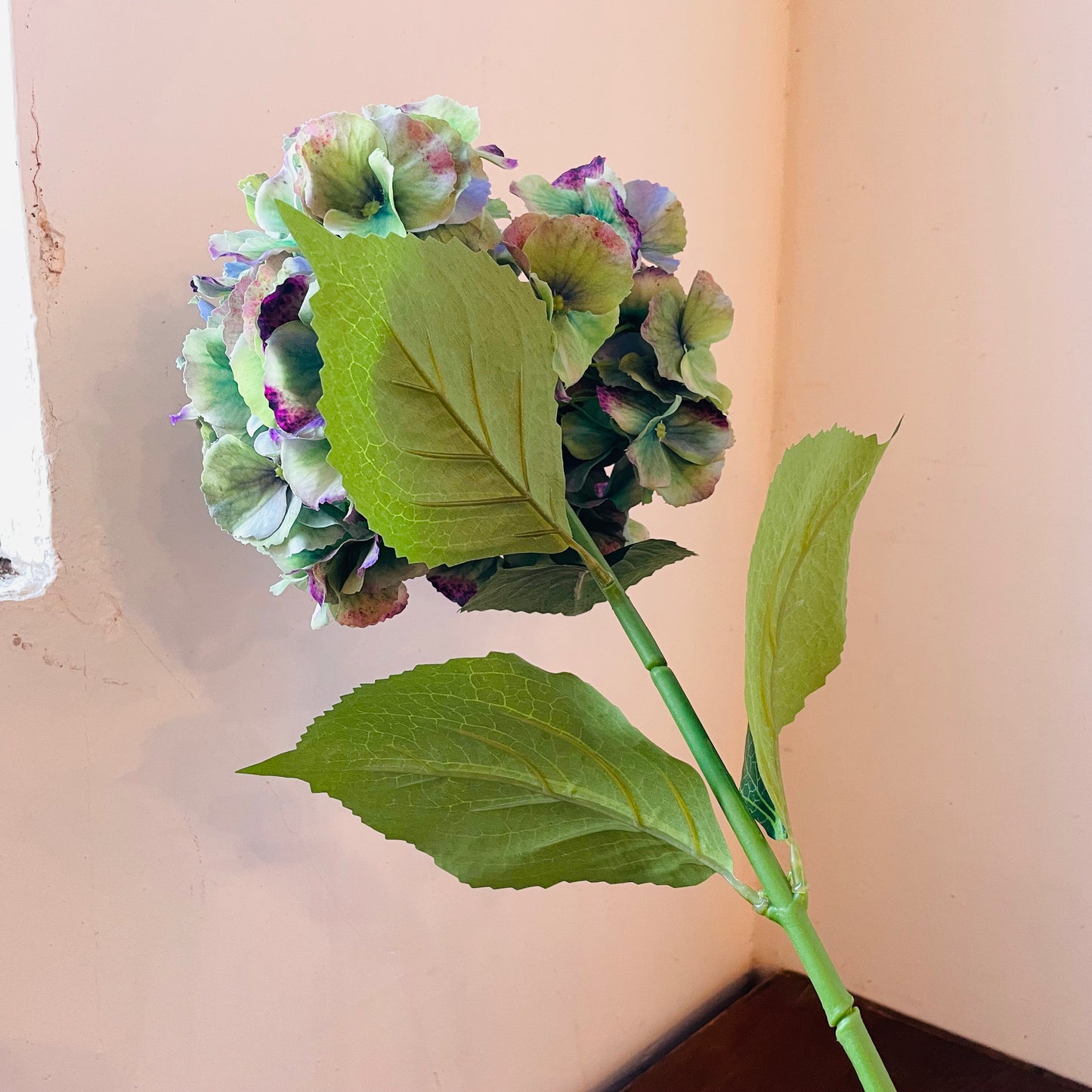 Equinox Mason Hydrangea Stem