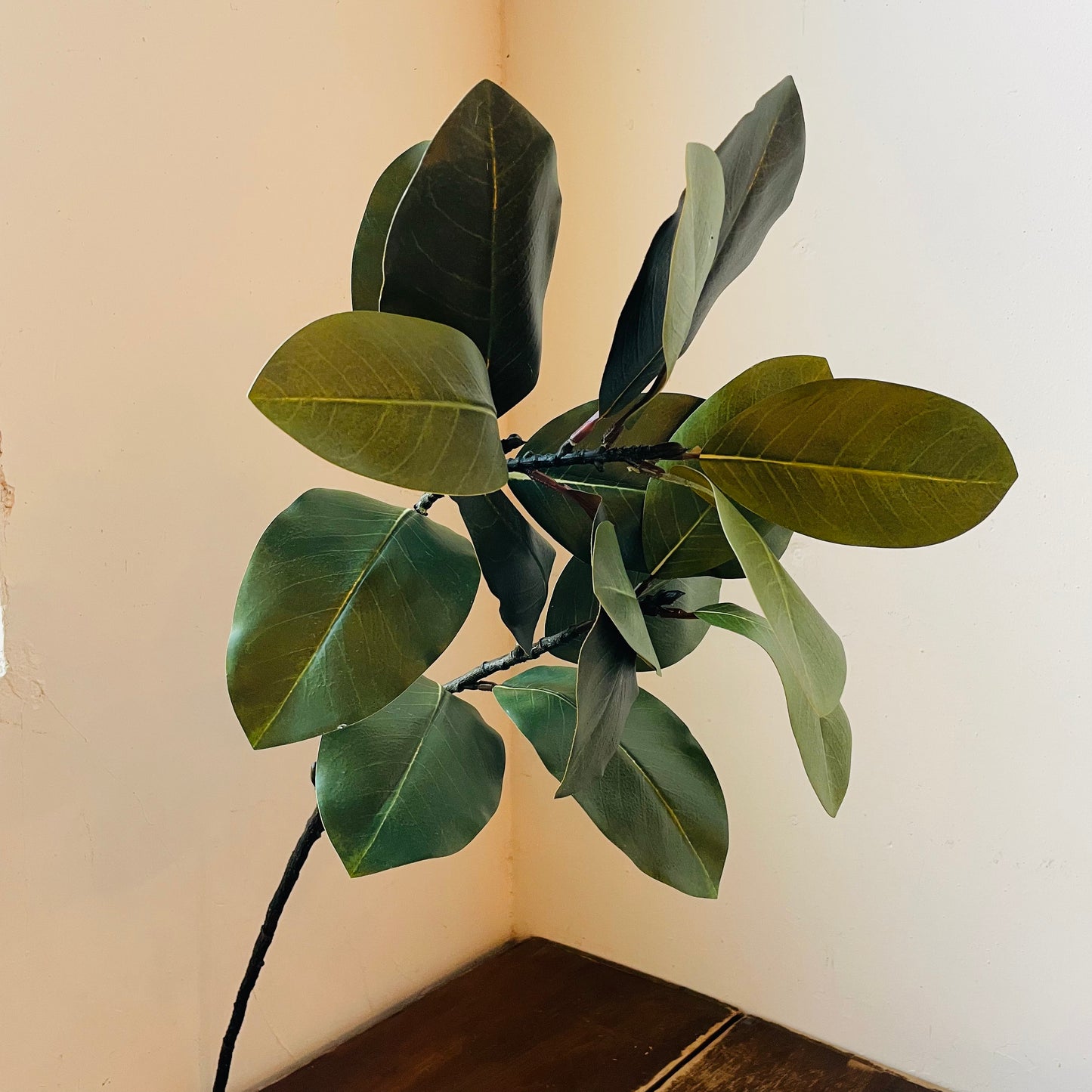 Southern Magnolia Branch