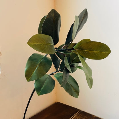 Southern Magnolia Branch