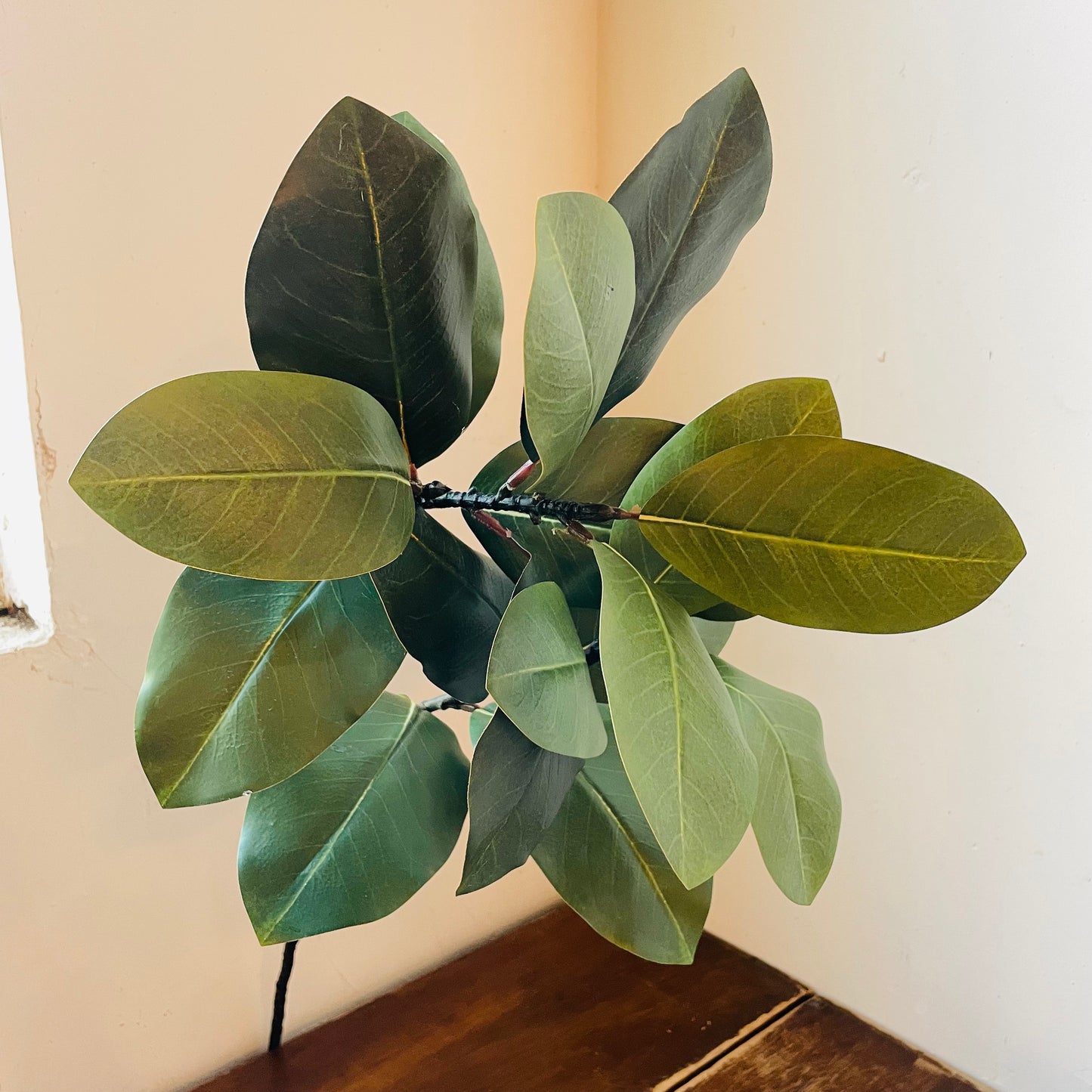 Southern Magnolia Branch