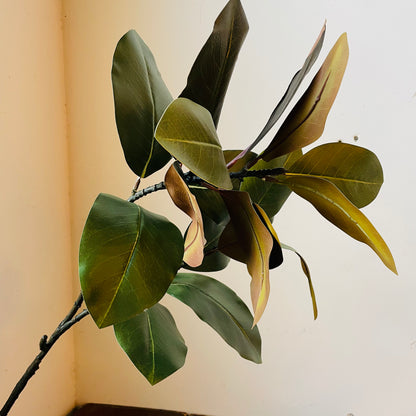 Southern Magnolia Branch