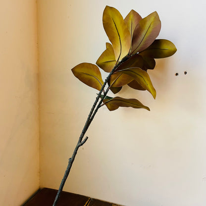 Southern Magnolia Branch