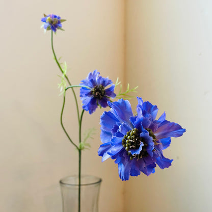 Lavender Scabiosa Stem