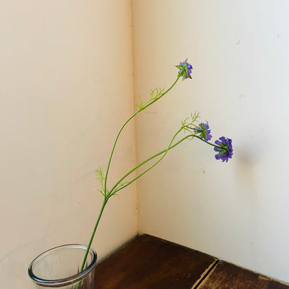 Lavender Scabiosa Stem