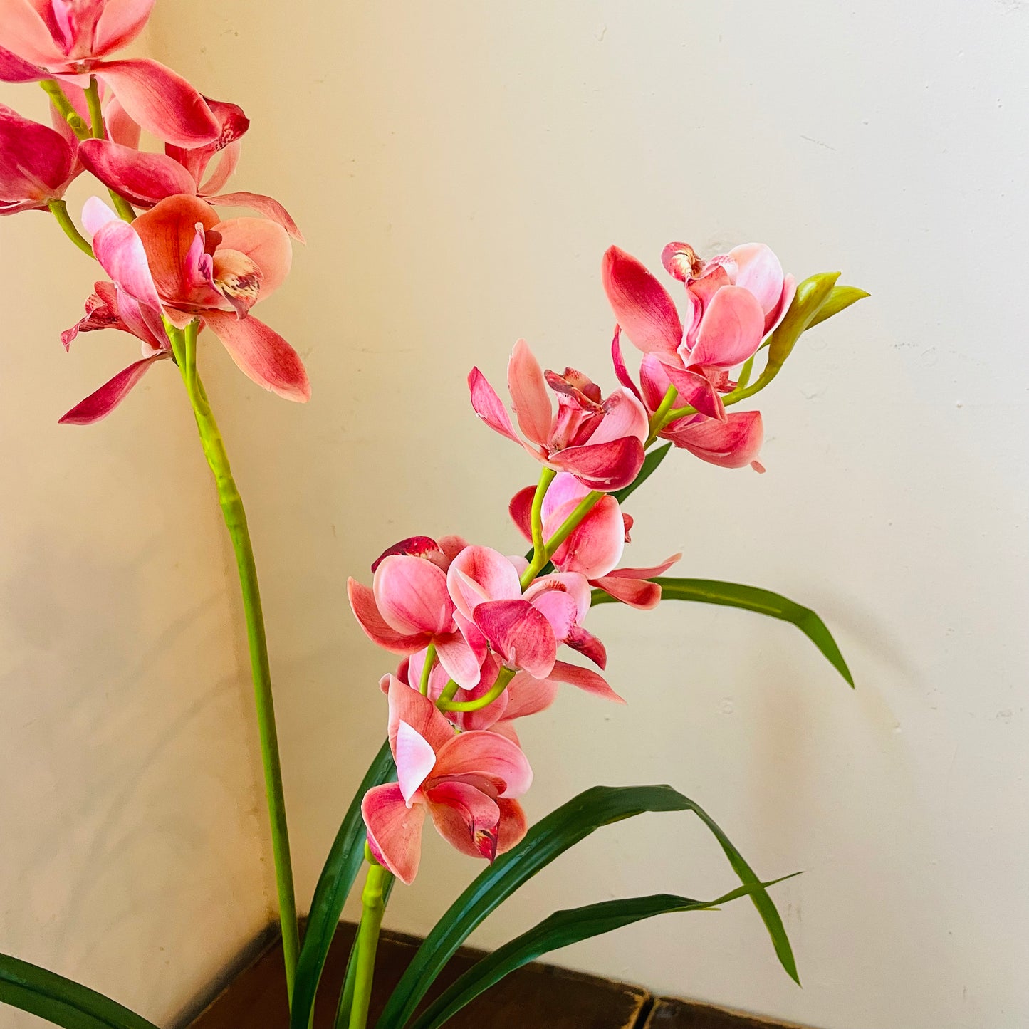 Berry Cymbidium In Moss Ball