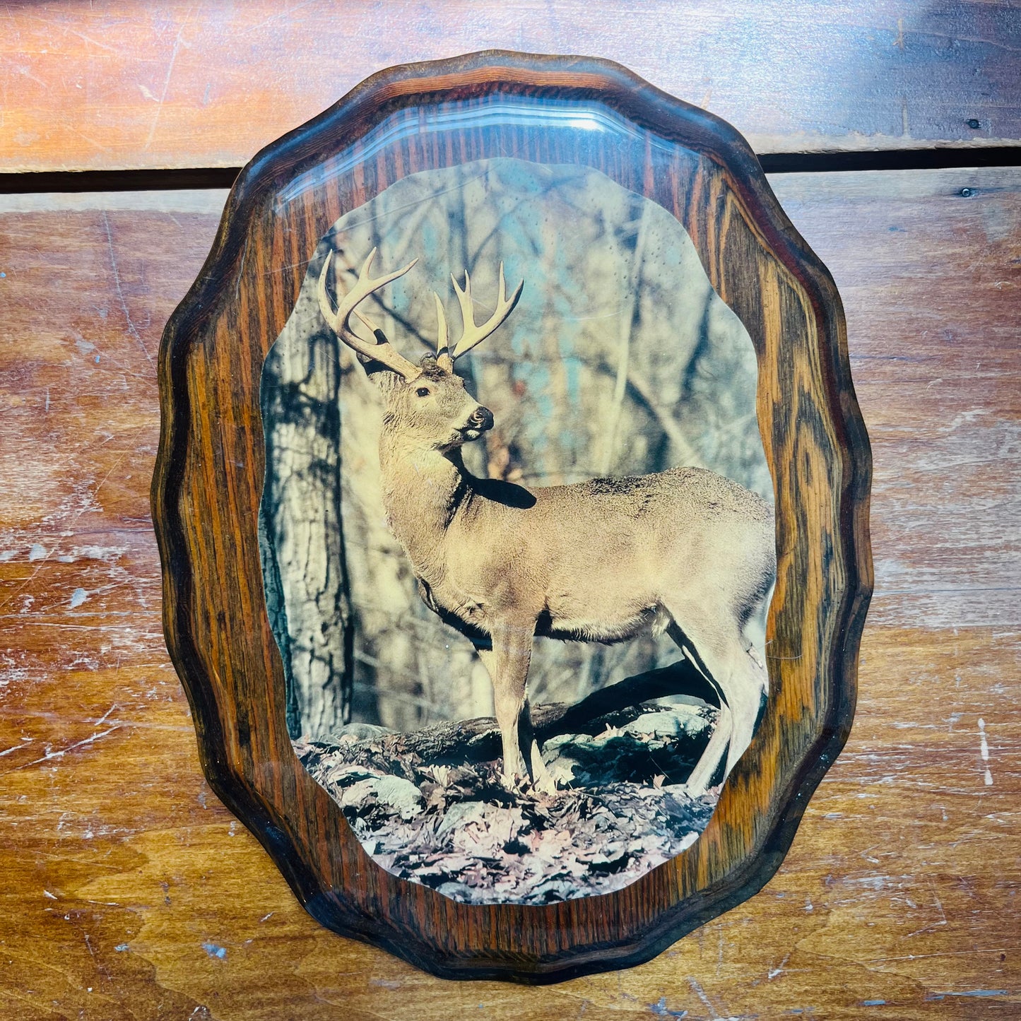 Acrylic & Wood White Tail Buck Wall Hanging- Vintage