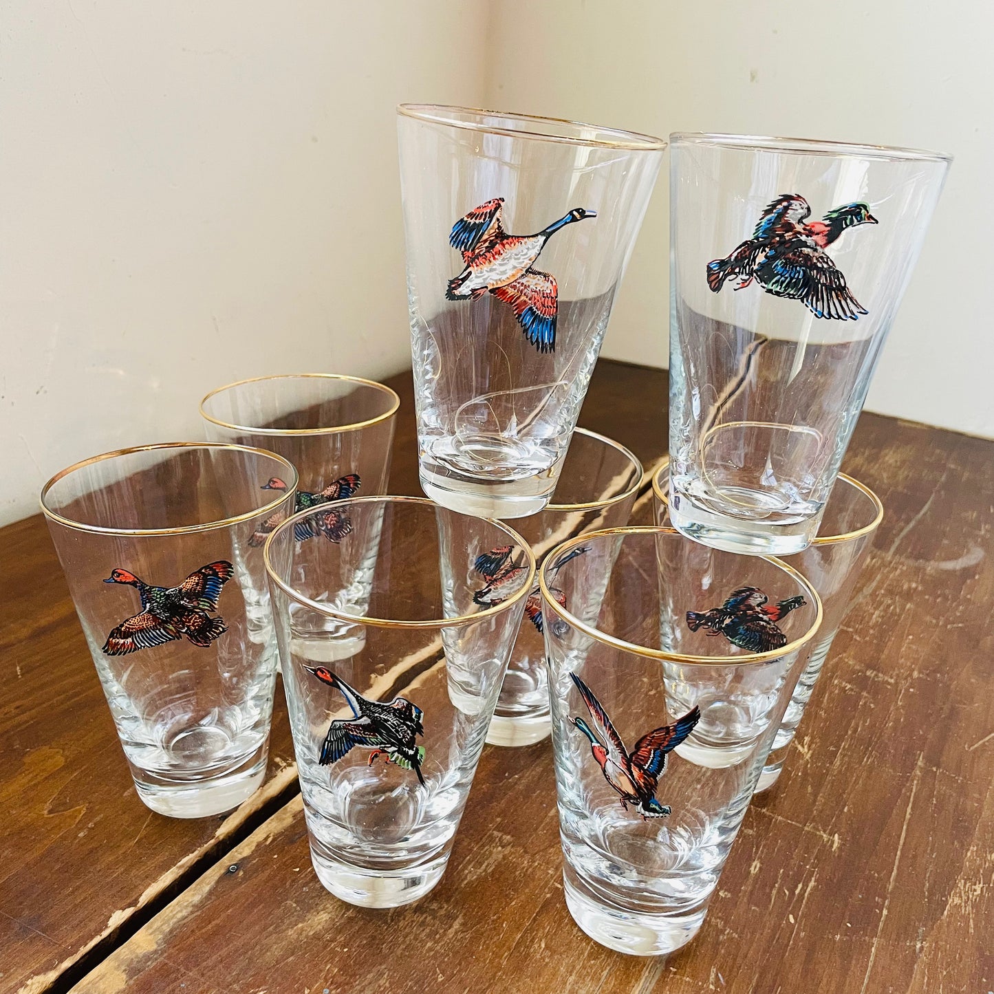 Set of 8 Waterfowl Gold Rimmed Pilsner Glasses- Vintage