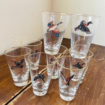Set of 8 Waterfowl Gold Rimmed Pilsner Glasses- Vintage