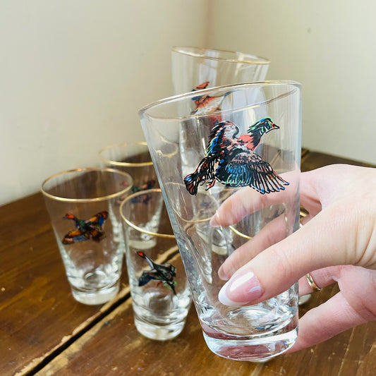 Set of 8 Waterfowl Gold Rimmed Pilsner Glasses- Vintage