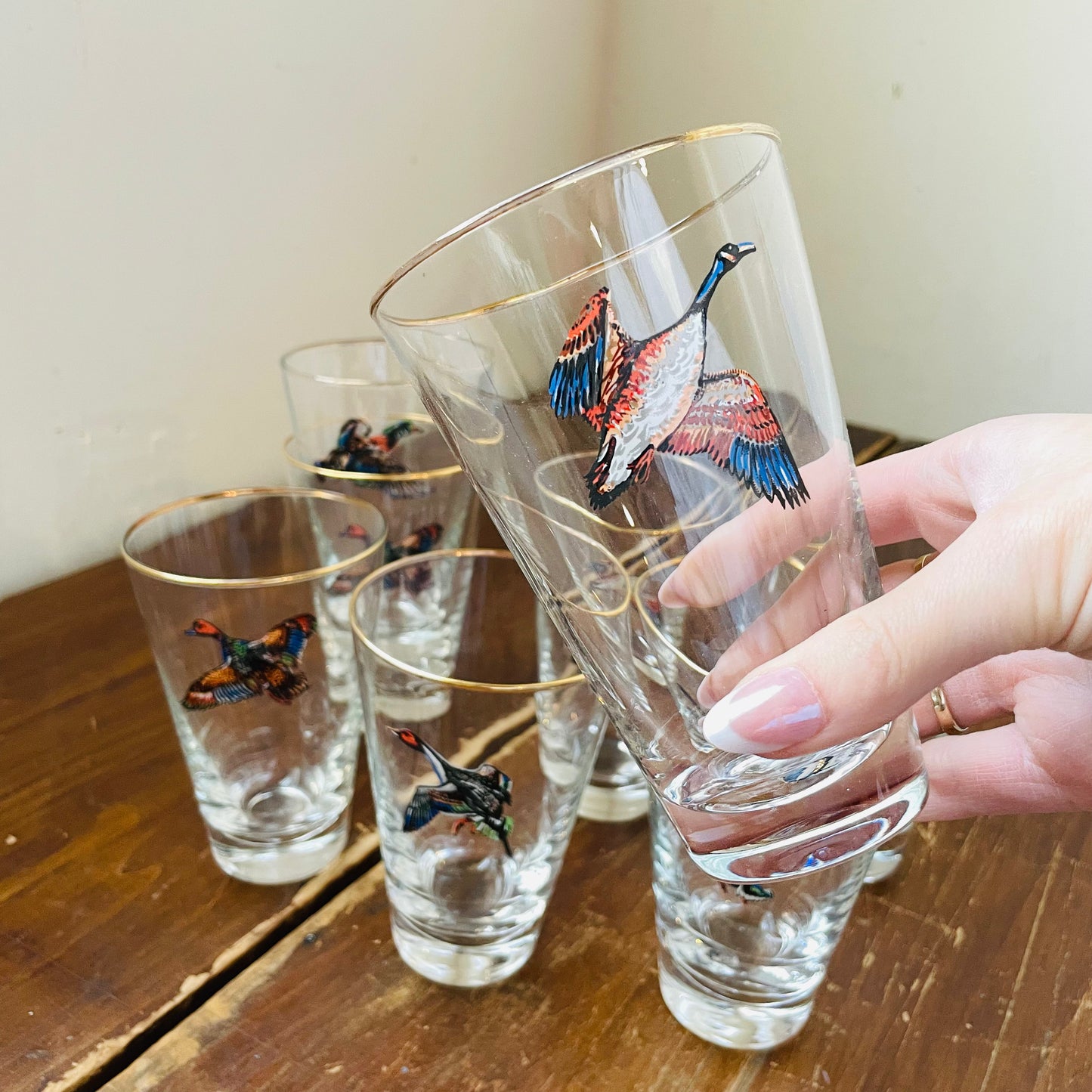 Set of 8 Waterfowl Gold Rimmed Pilsner Glasses- Vintage