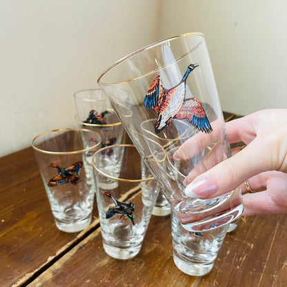 Set of 8 Waterfowl Gold Rimmed Pilsner Glasses- Vintage
