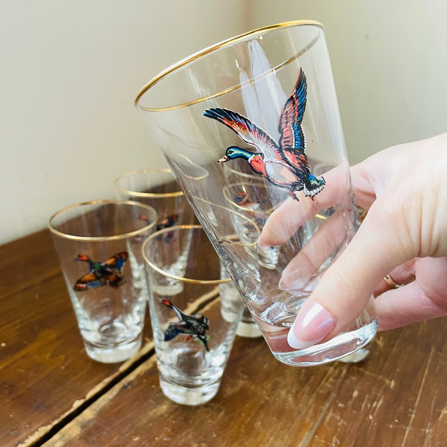Set of 8 Waterfowl Gold Rimmed Pilsner Glasses- Vintage