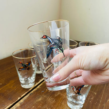 Set of 8 Waterfowl Gold Rimmed Pilsner Glasses- Vintage
