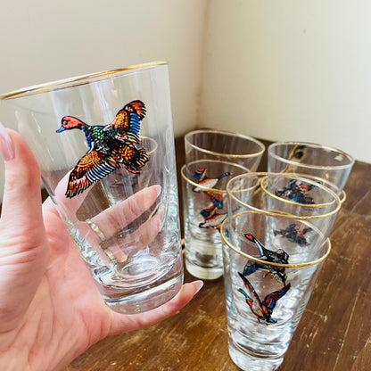 Set of 8 Waterfowl Gold Rimmed Pilsner Glasses- Vintage