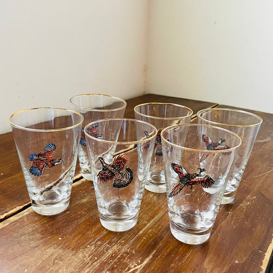 Set of 6 Upland Birds Gold Rimmed Pilsner Glasses- Vintage
