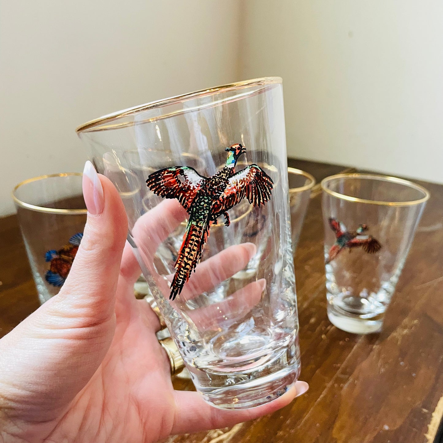 Set of 6 Upland Birds Gold Rimmed Pilsner Glasses- Vintage
