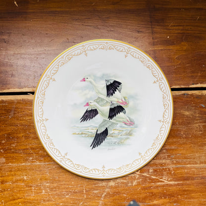 Boehm Water Birds of North America Set of 8 Plates- Vintage