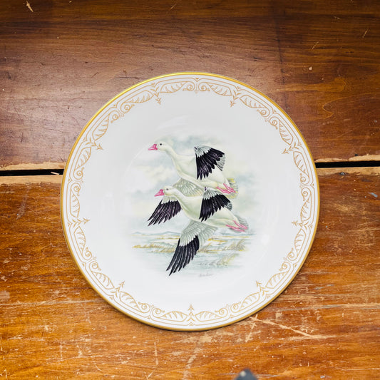 Boehm Water Birds of North America Set of 8 Plates- Vintage