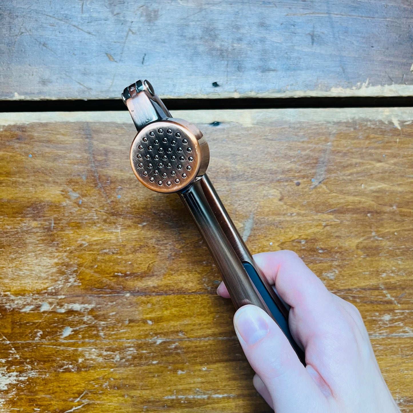 Garlic Press