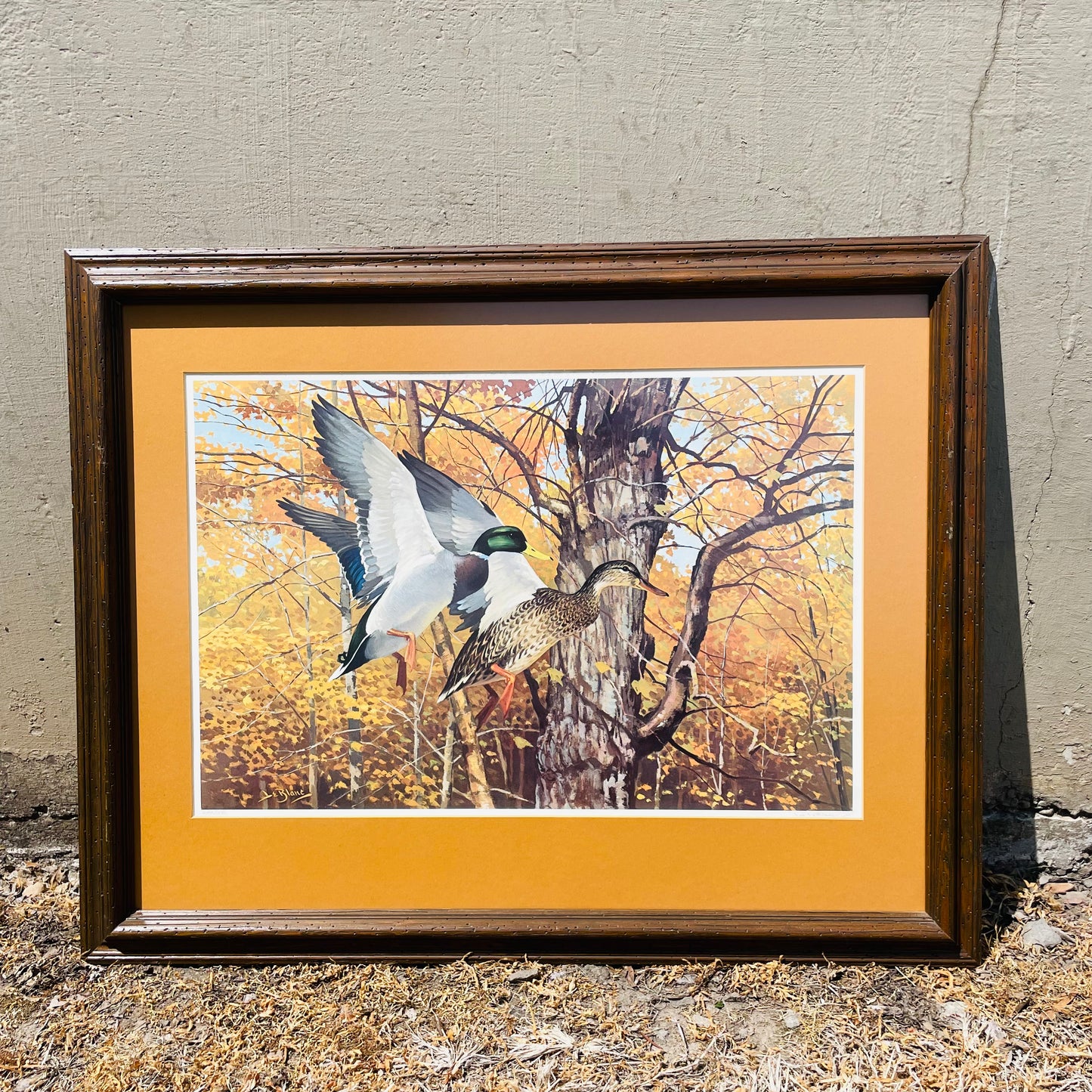 Framed "Ducks in Flight" Print by Lee LeBlanc- Vintage