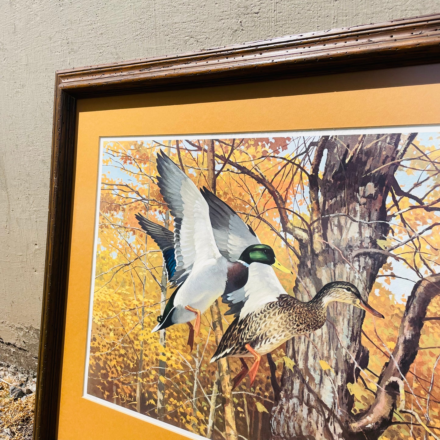 Framed "Ducks in Flight" Print by Lee LeBlanc- Vintage