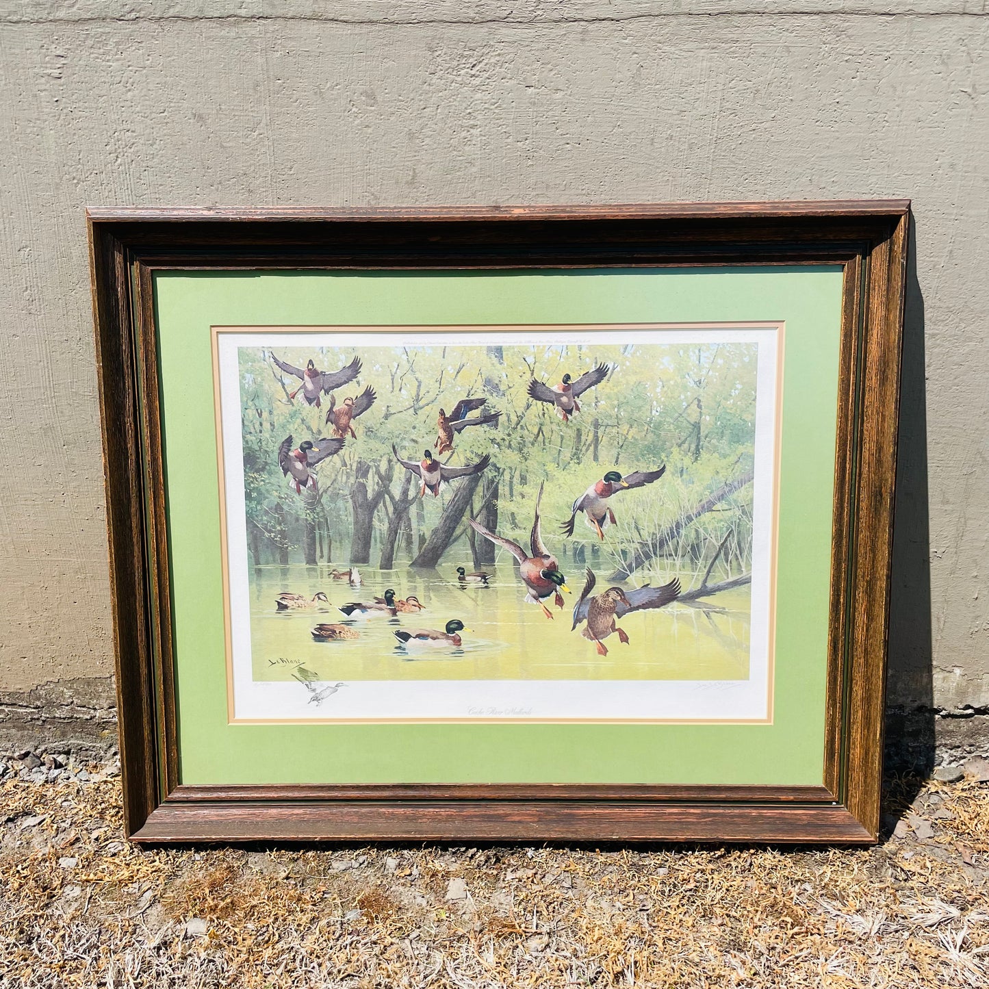 Framed "Cache River Mallard" Print by Lee LeBlanc- Vintage