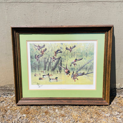Framed "Cache River Mallard" Print by Lee LeBlanc- Vintage