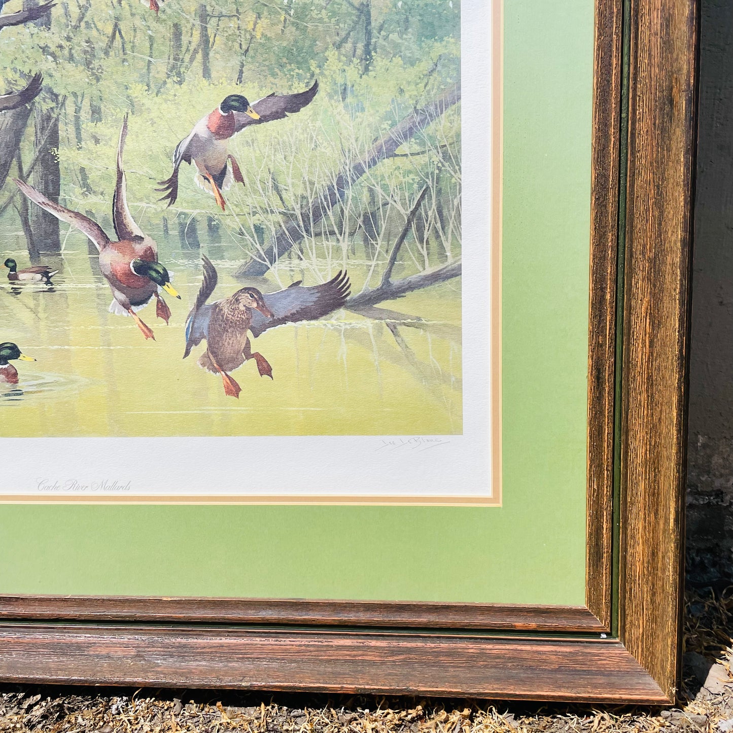 Framed "Cache River Mallard" Print by Lee LeBlanc- Vintage