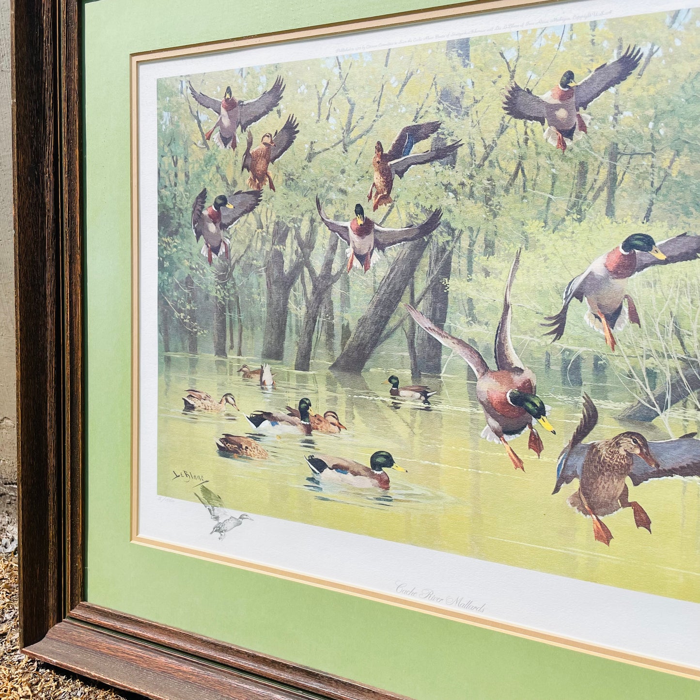 Framed "Cache River Mallard" Print by Lee LeBlanc- Vintage